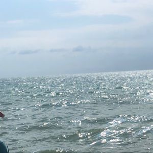 Meet your Posher, Roseann